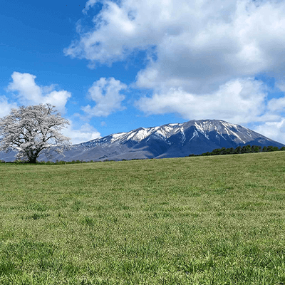 「そして東北ひとり歩き」の山田